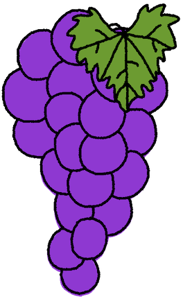 Grape Seed Oil