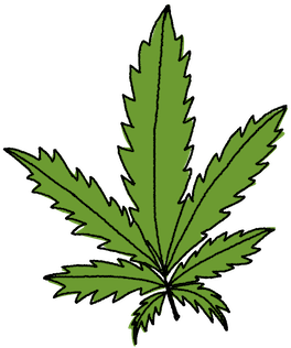 Hemp Oil